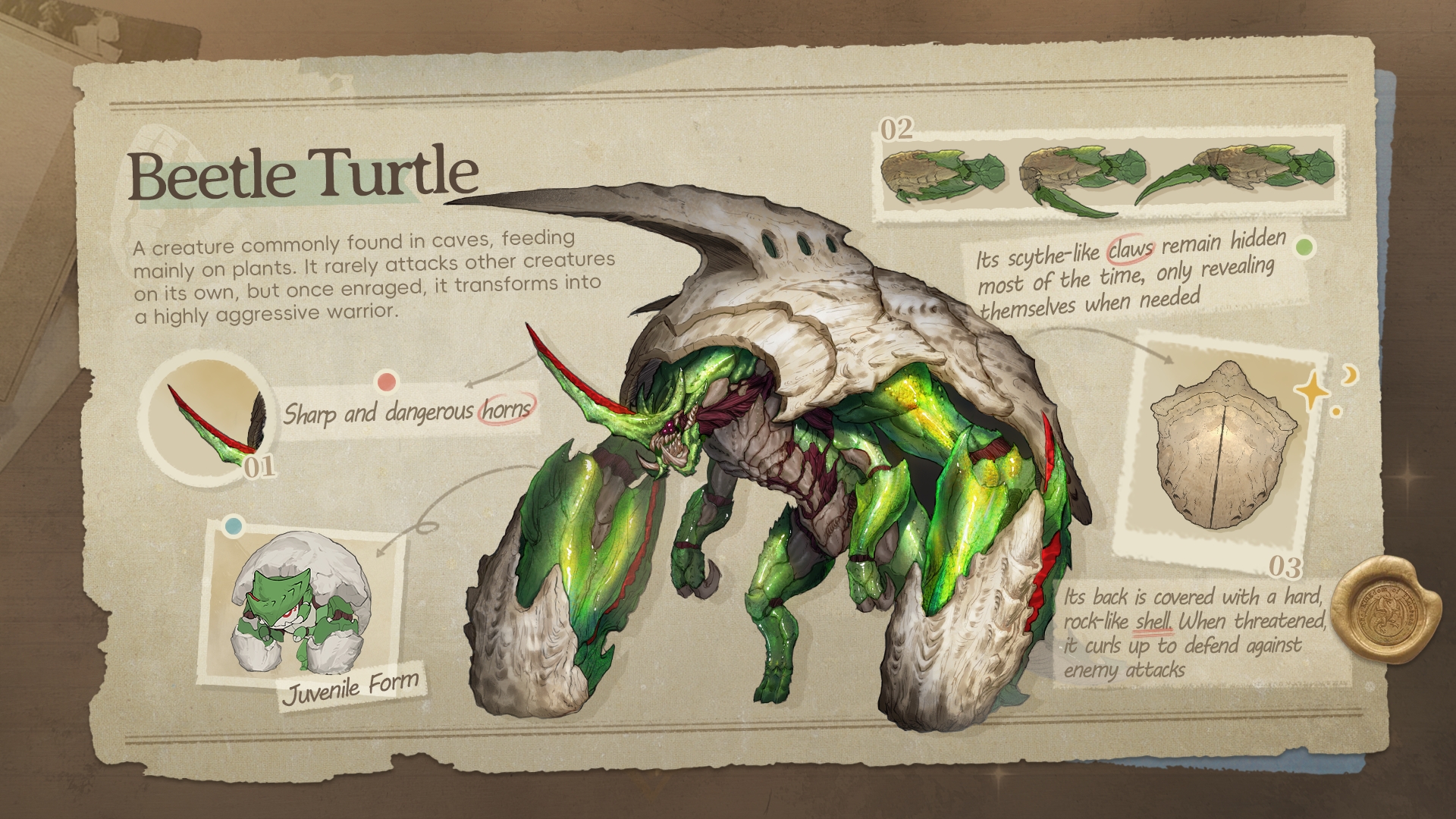 カブトガメの設定画